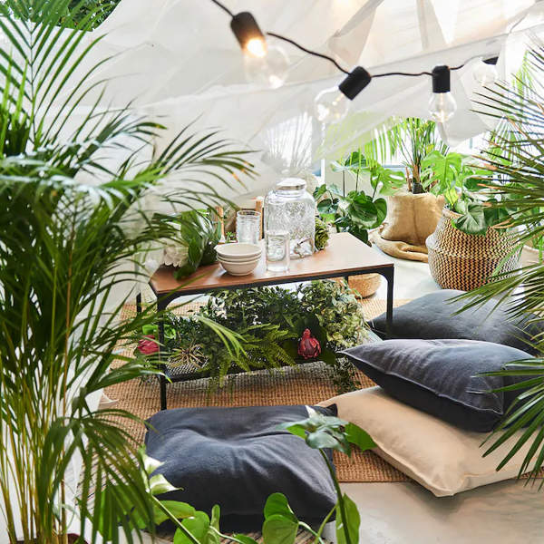 Ni geranios ni lavandas: la planta más elegante para decorar tu terraza es esta de IKEA