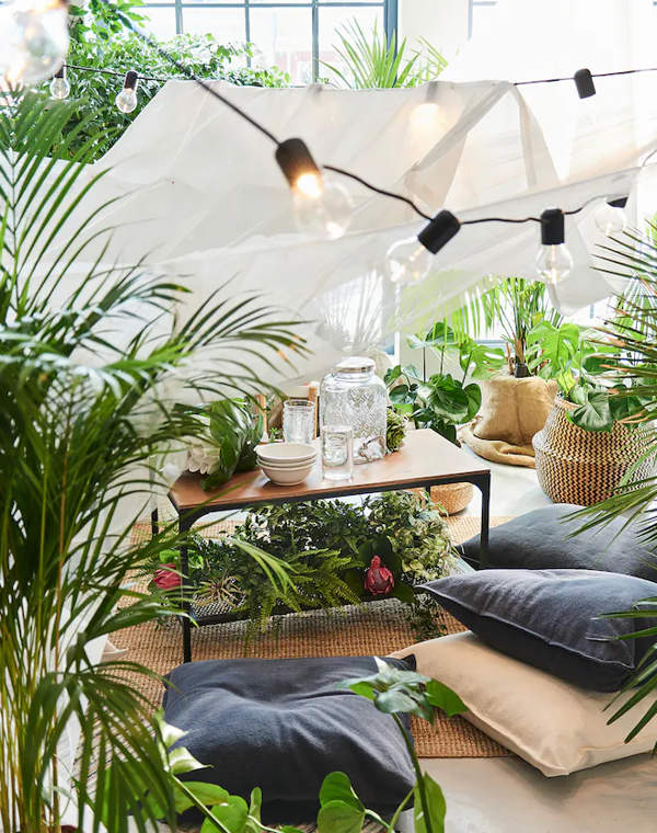 Ni geranios ni lavandas: la planta más elegante para decorar tu terraza es esta de IKEA