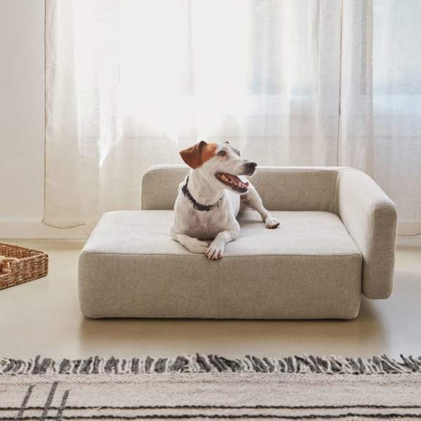 6 opciones de cama para tu mascota que decorarán tu casa: elegantes, modernas y en 6 estilos diferentes