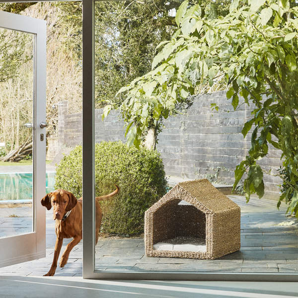 4 casitas lindas y a buen precio para tu perro que se integrarán a tu jardín de forma maravillosa