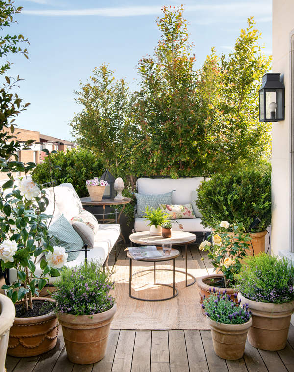 10 terrazas fabulosas de este 2024 de la revista El Mueble: pequeñas, llenas de plantas, con ideas, con vistas...