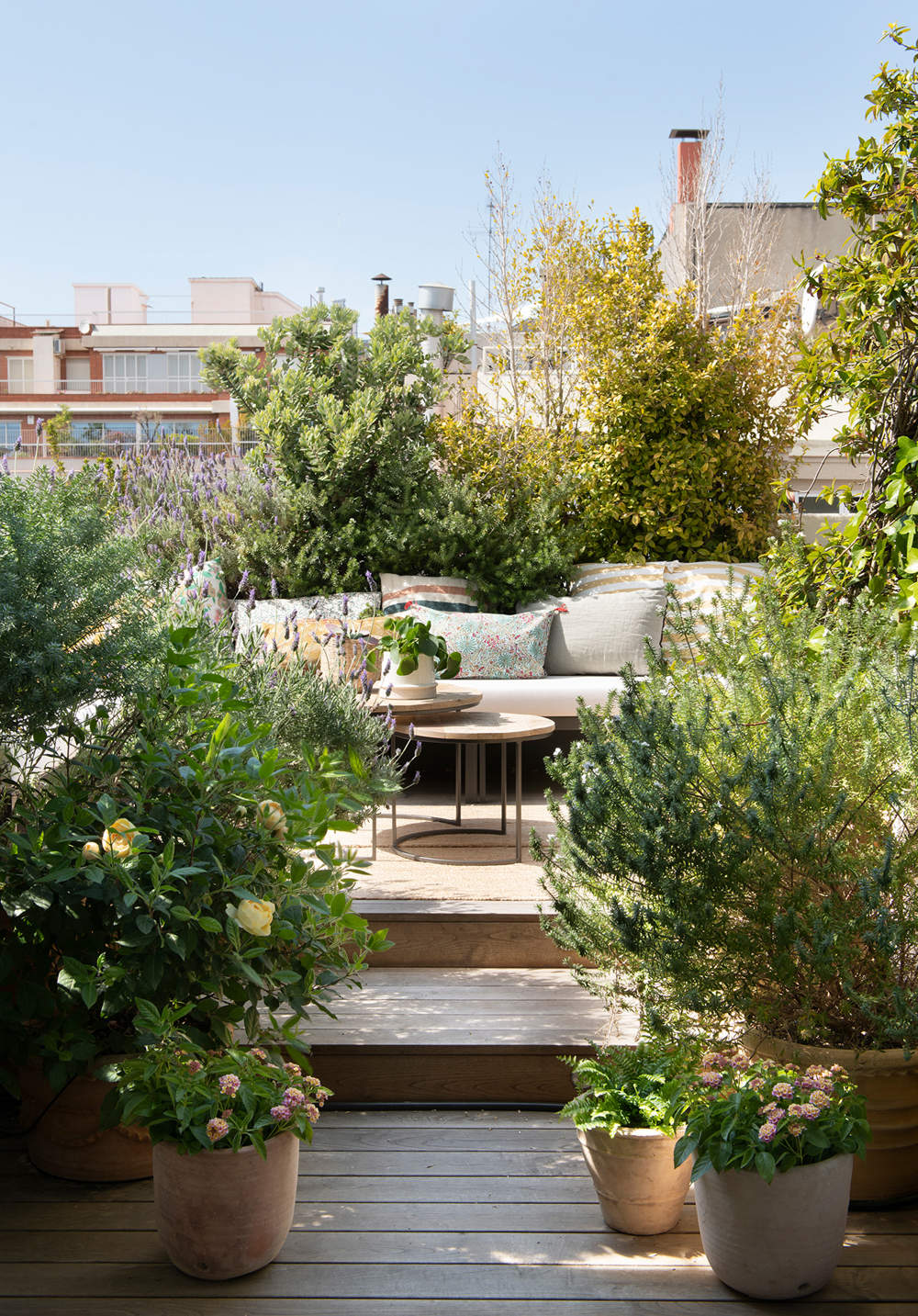 terraza con plantas 00573683