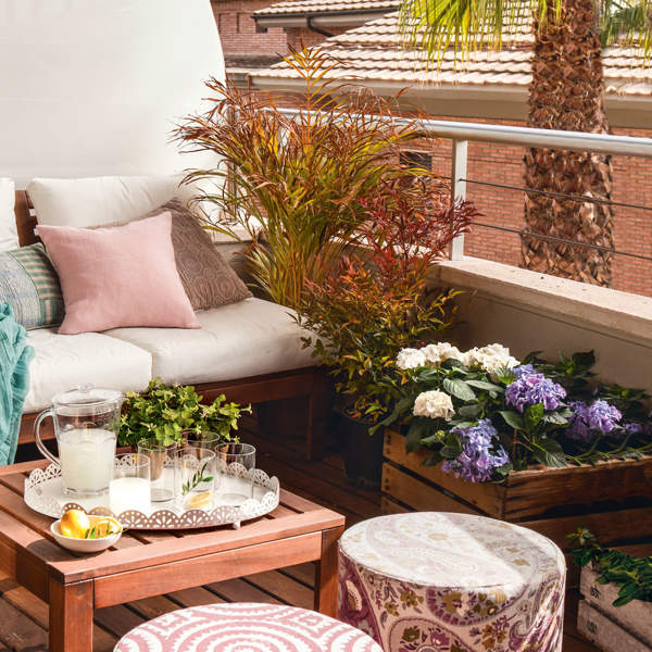 Aldi agotará la planta más bonita para balcones y terrazas: añade color y personalidad a tu casa por 7 euros