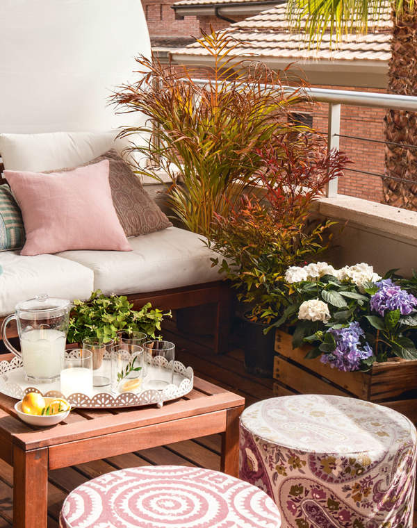 Aldi agotará la planta más bonita para balcones y terrazas: añade color y personalidad a tu casa por 7 euros