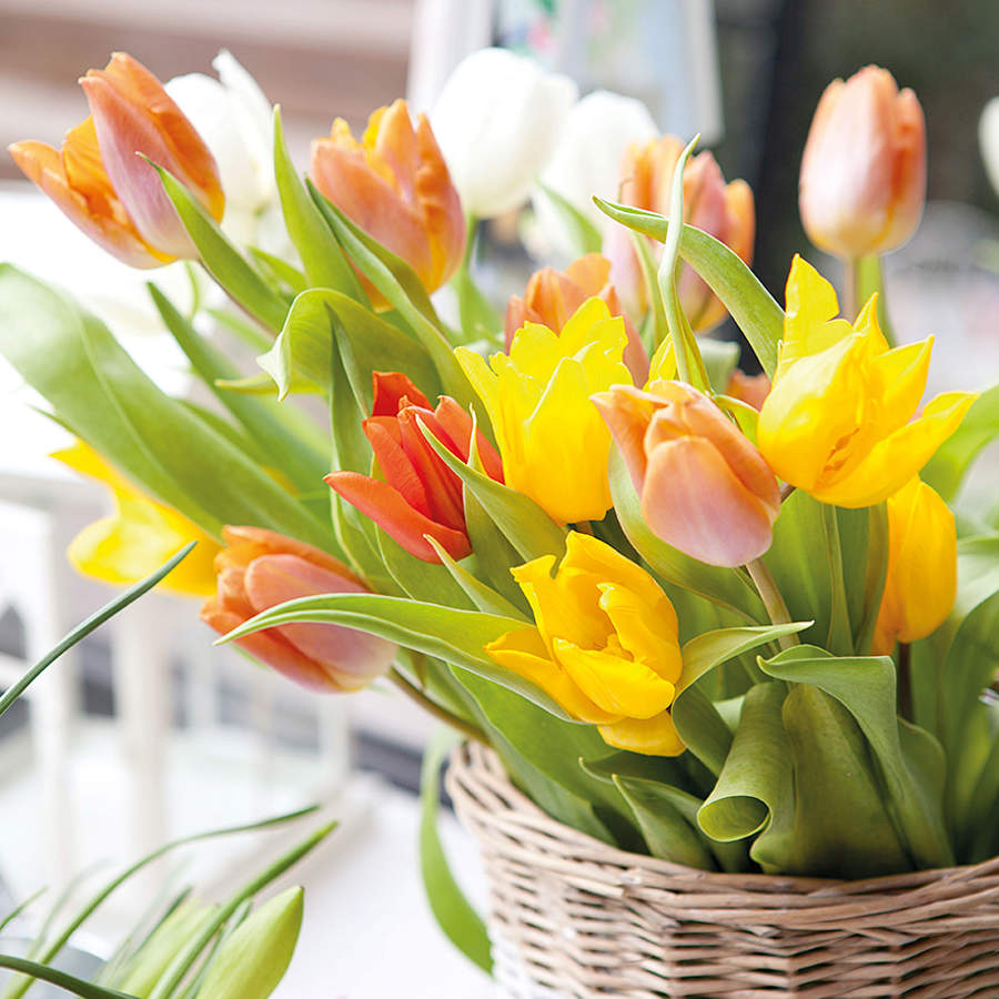Detalle de cesto de mimbre con tulipanes