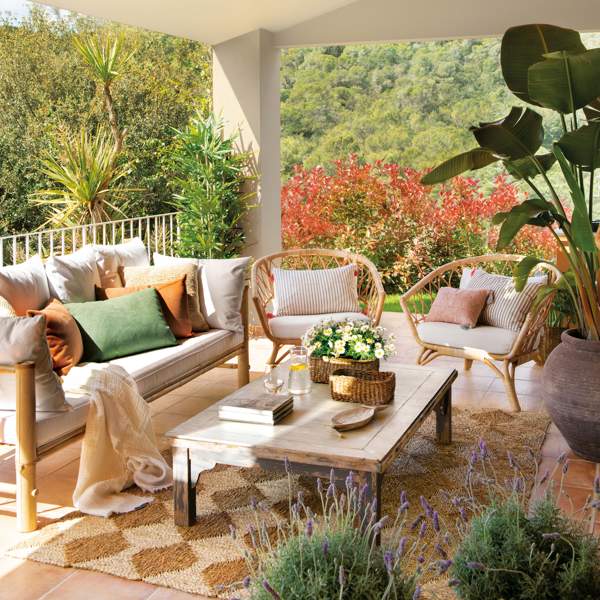No te compliques: estas 3 plantas en oferta de Lidl decorarán tu terraza todo el verano porque resisten bien al sol