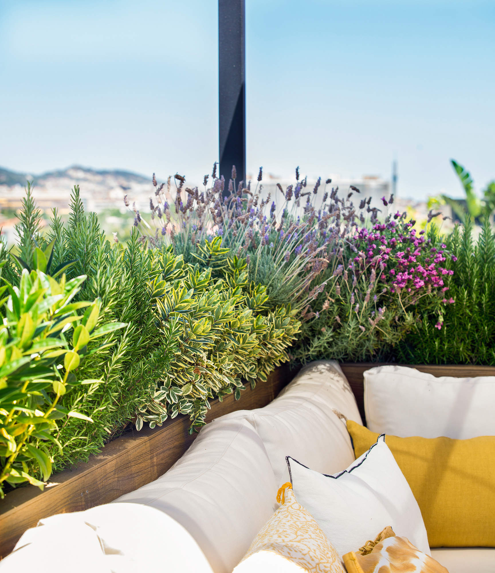 Detalle con plantas en la terraza.