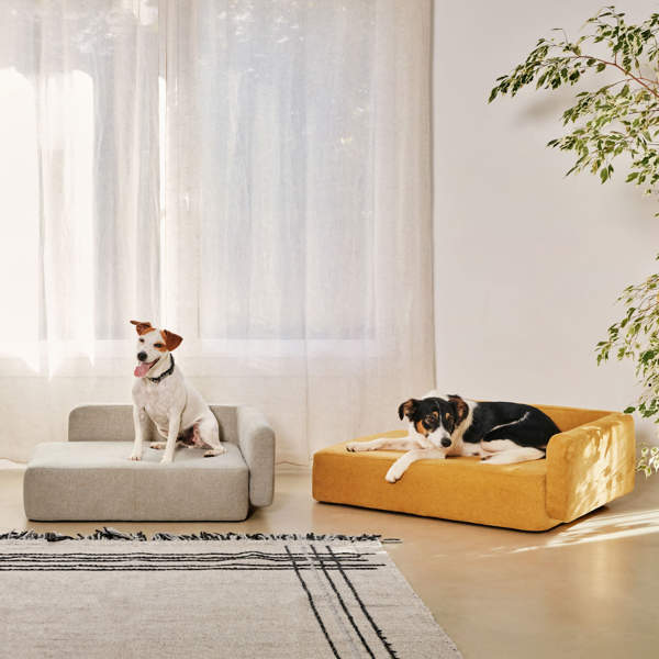 10 camas para perros perfectas: ellos las disfrutarán y le darán un toque decorativo a tu hogar