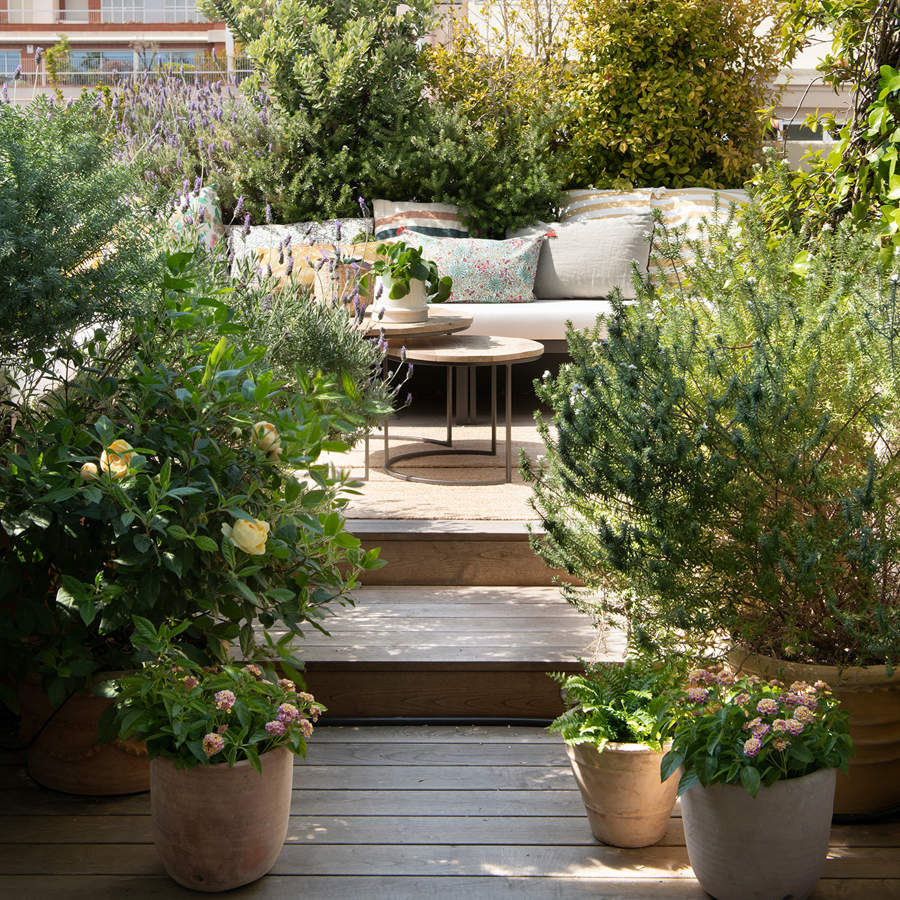 terraza con plantas 00573683