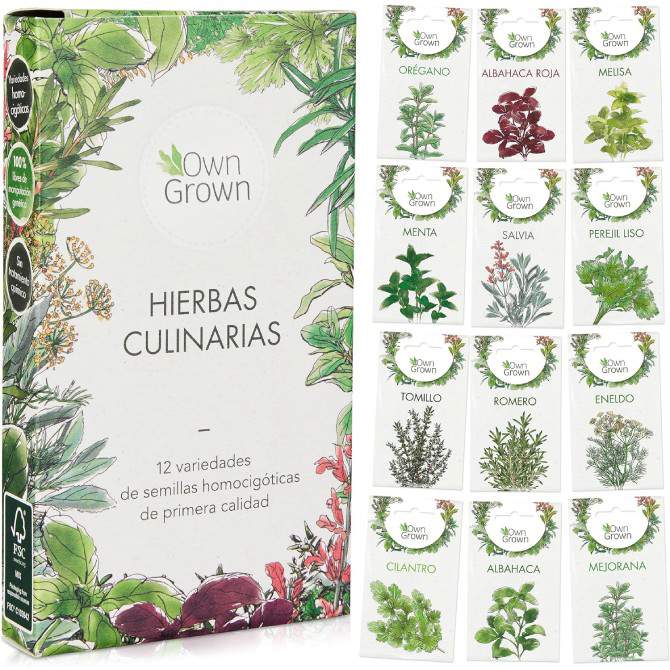 Kit de 12 semillas de hierbas aromáticas
