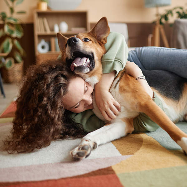 El dúo dinámico para el cuidado canino al mejor precio: el champú y collar antipulgas que tu perro merece