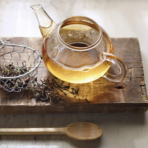 Tipos de té: descubre la variedad de sabores, propiedades y beneficios
