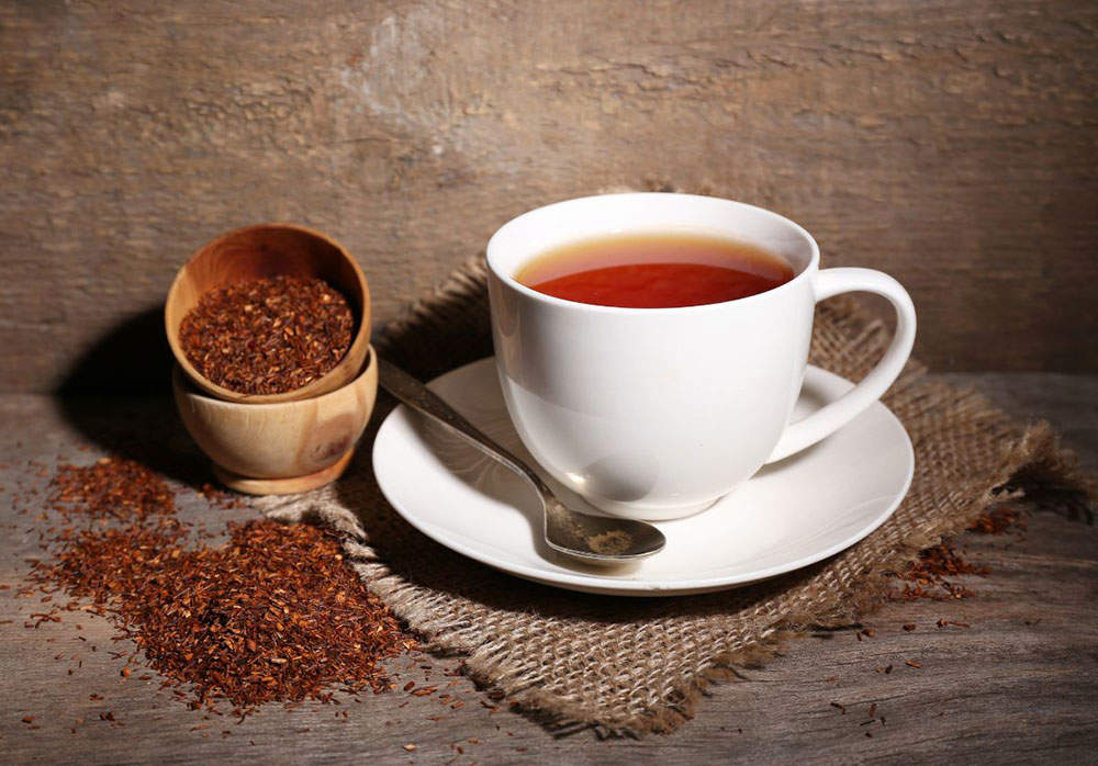 Rooibos