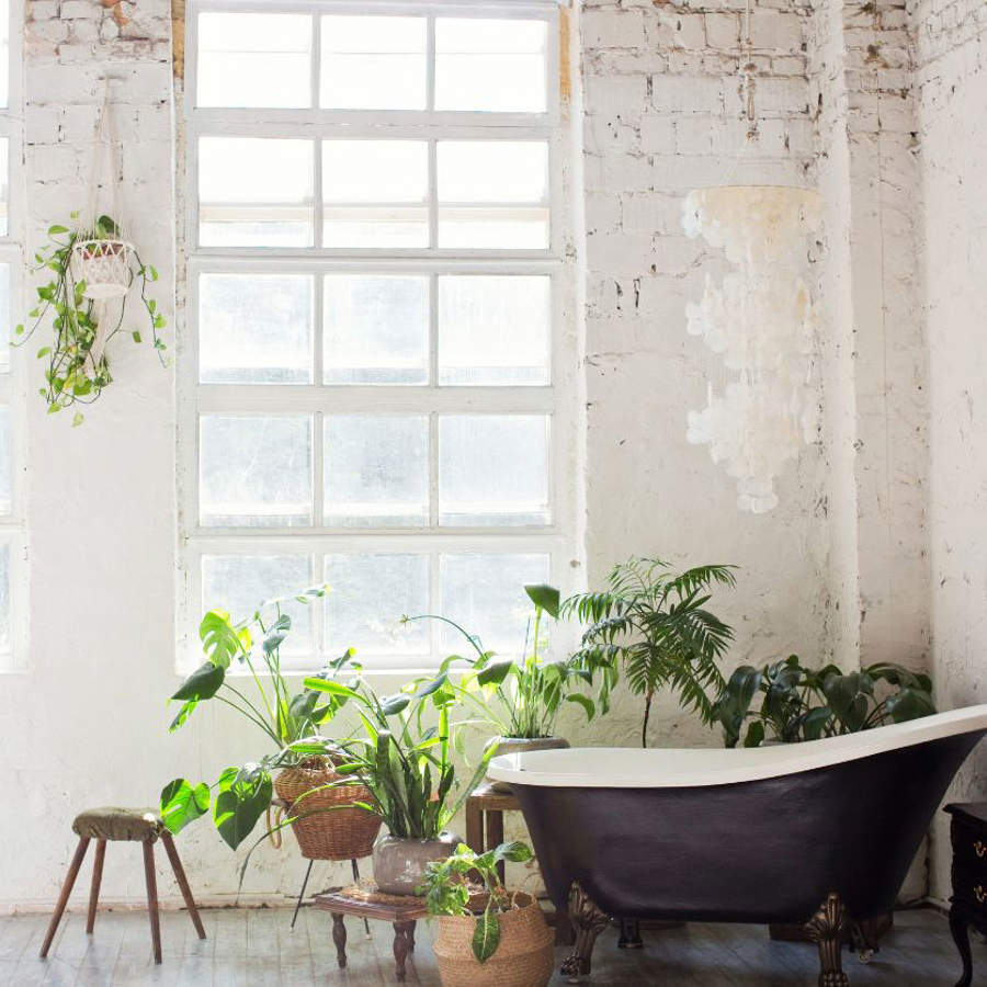 Baño con plantas
