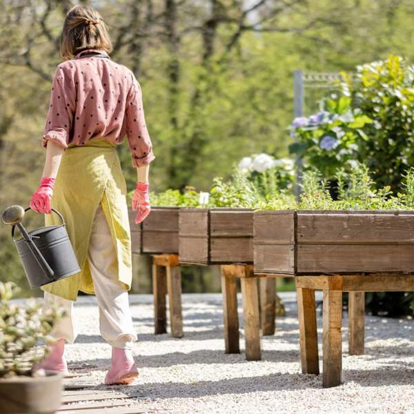 7 plantas que los expertos en jardinería recomiendan tener en el jardín para ahuyentar plantas