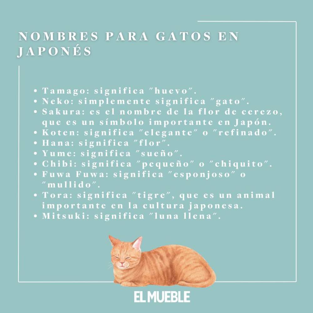 Nombres para gatos en JAPONÉS