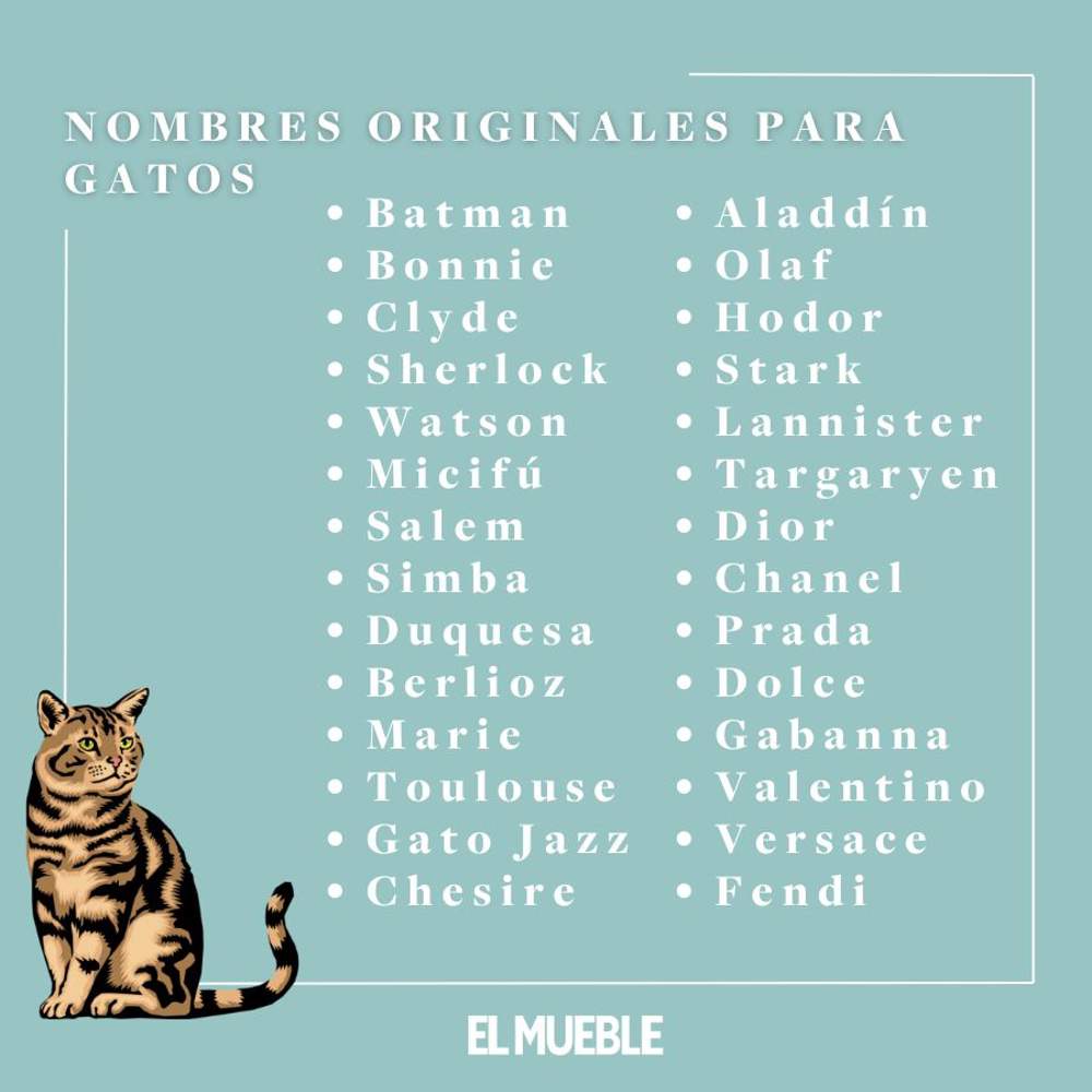 Nombres para gatos machos