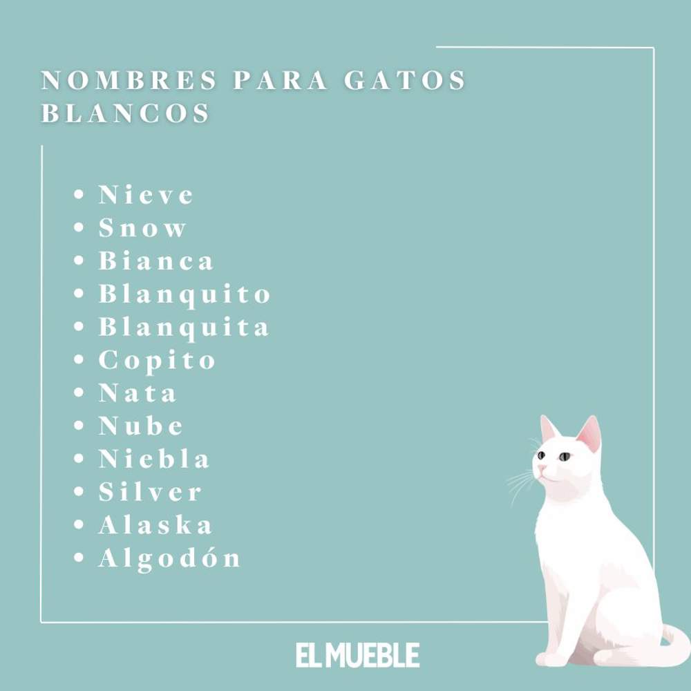 Nombres para gatos blancos