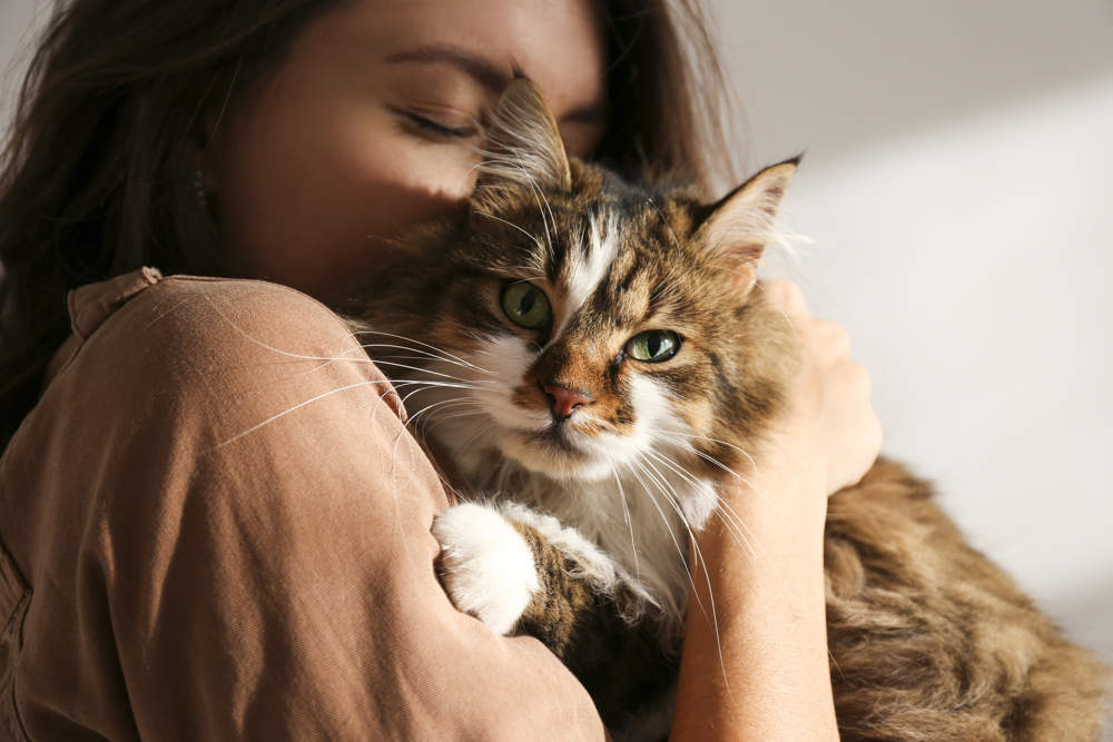 Mujer abrazando un gato