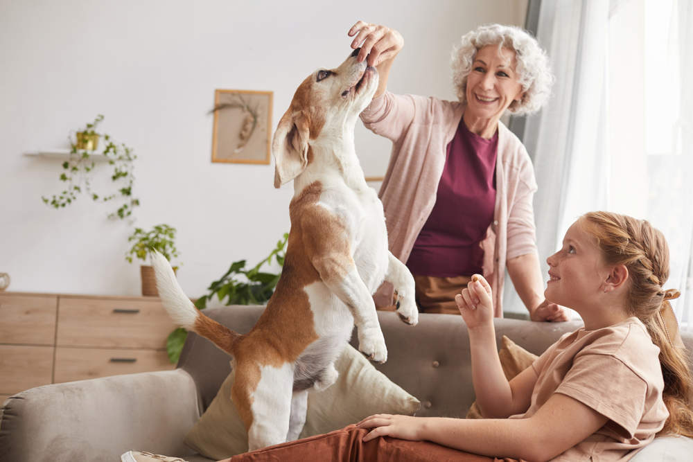 Perro con familiares