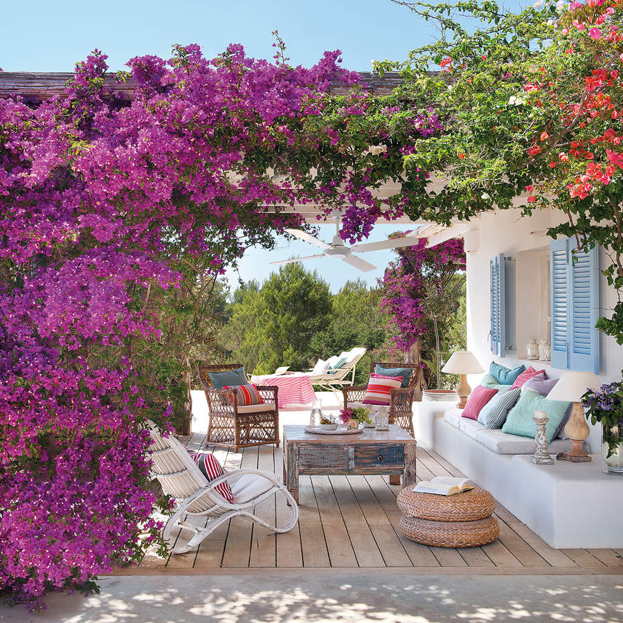 Pérgola con buganvilla en flor y fachada de la casa en blanco_386344