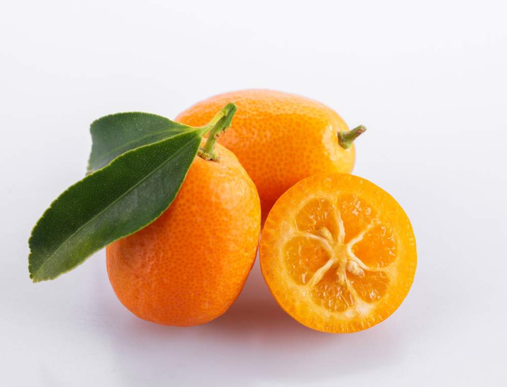 Kumquat