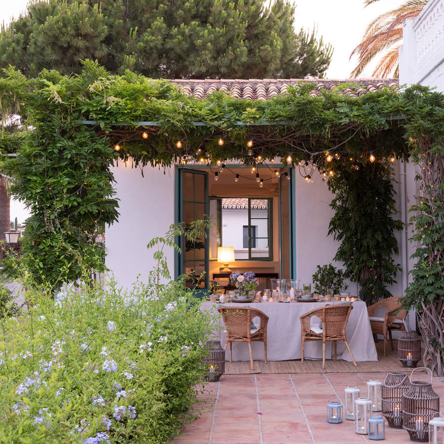 Jardín con plantas