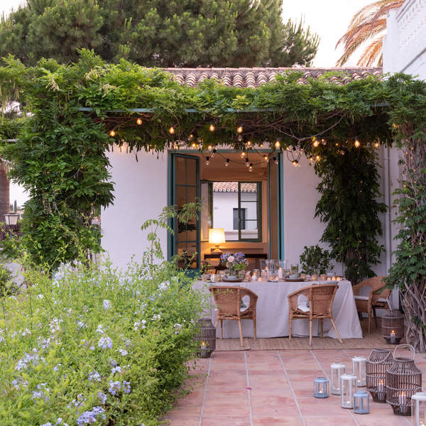 Jardín con plantas