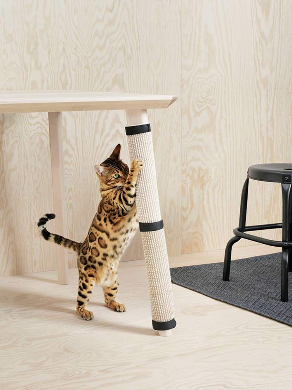 Gato con rascador de Ikea