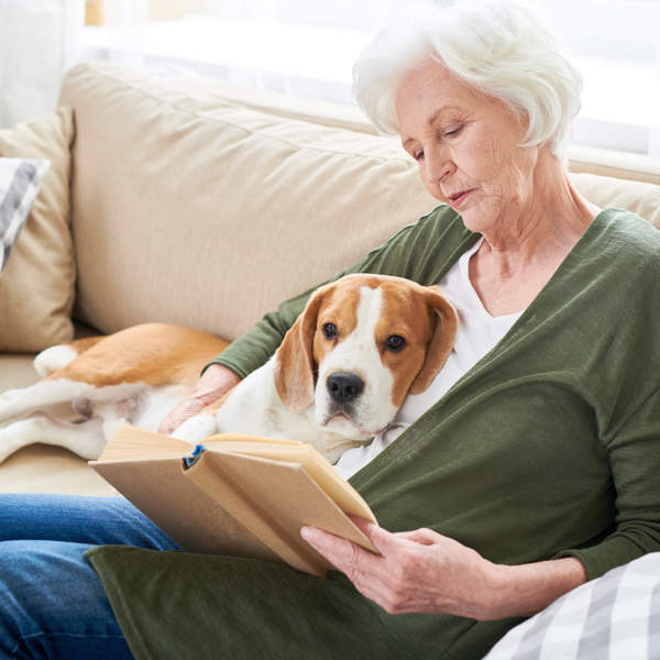 Mujer anciana con su perro en el sofá