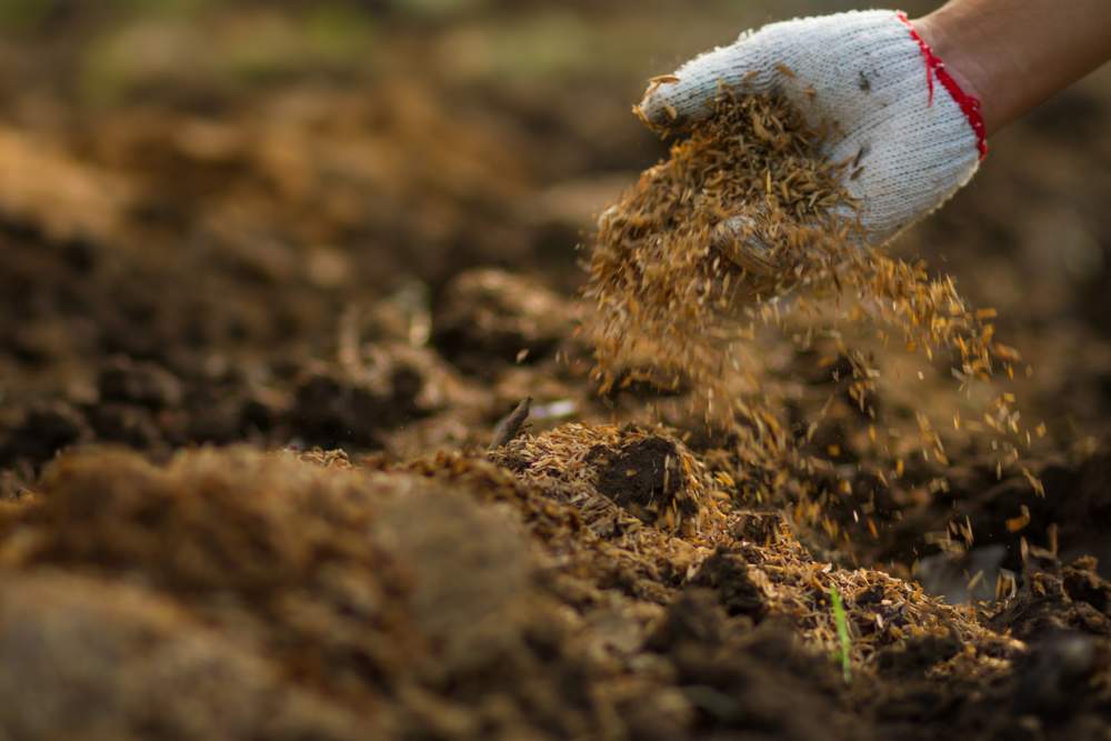 05 Productos profesionales cuidar el jardin