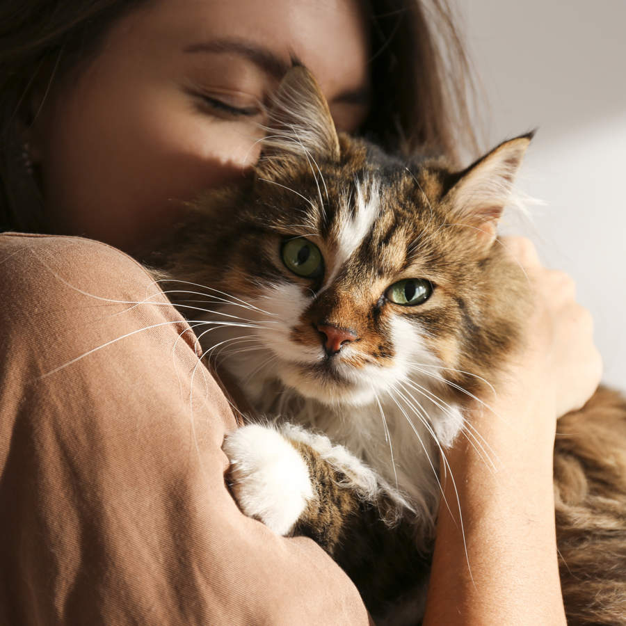 Mujer abrazando un gato