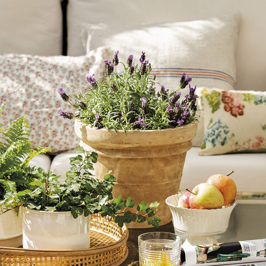 Terraza con zona de estar con mesa de hierro y plantas aromáticas