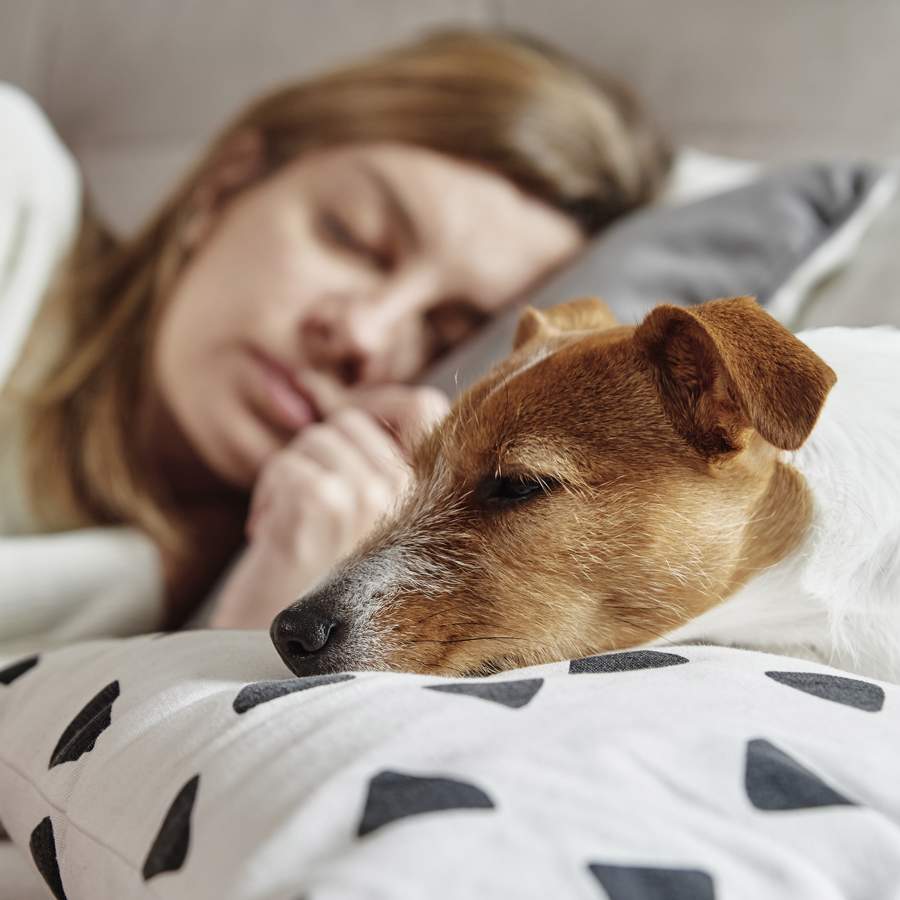 Mujer durmiendo con su perro