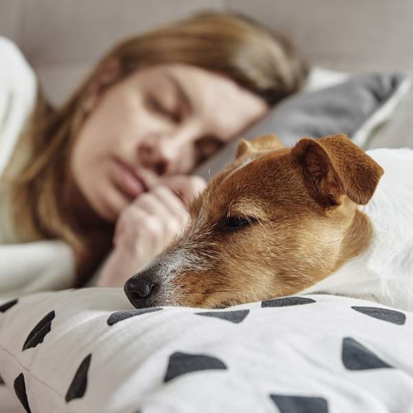 Esta es la razón por la que tu perro quiere dormir contigo (y puede tener beneficios para ti)