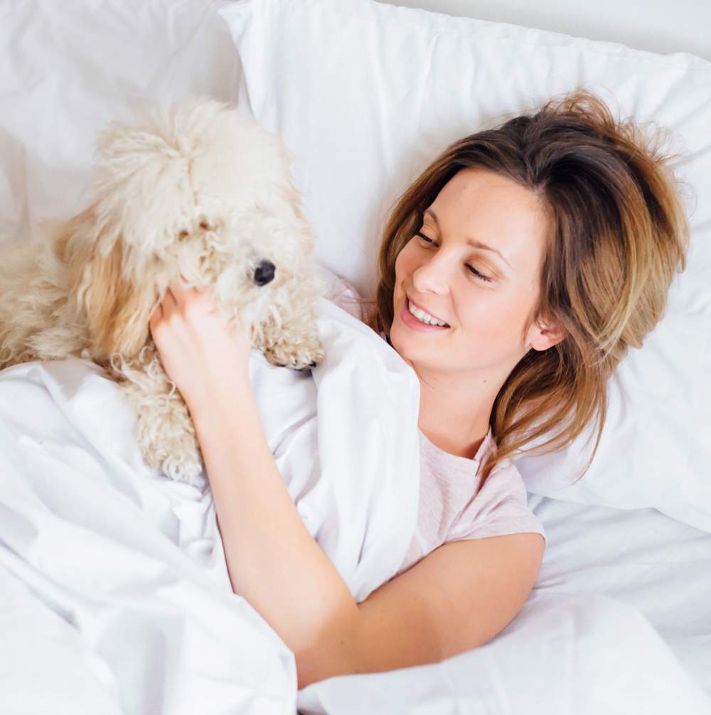 Perro en la cama con su dueña