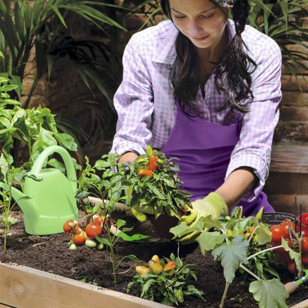 Huerto urbano en macetas: qué necesito y cómo tener éxito en una terraza pequeña