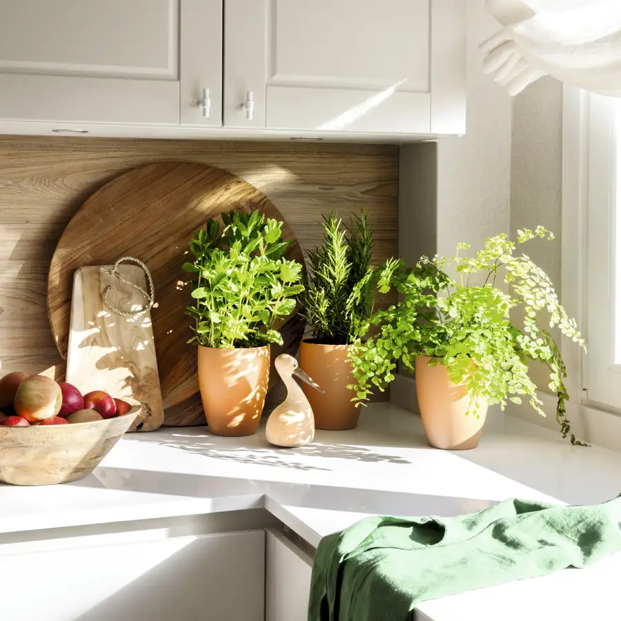 Cocina decorada con plantas