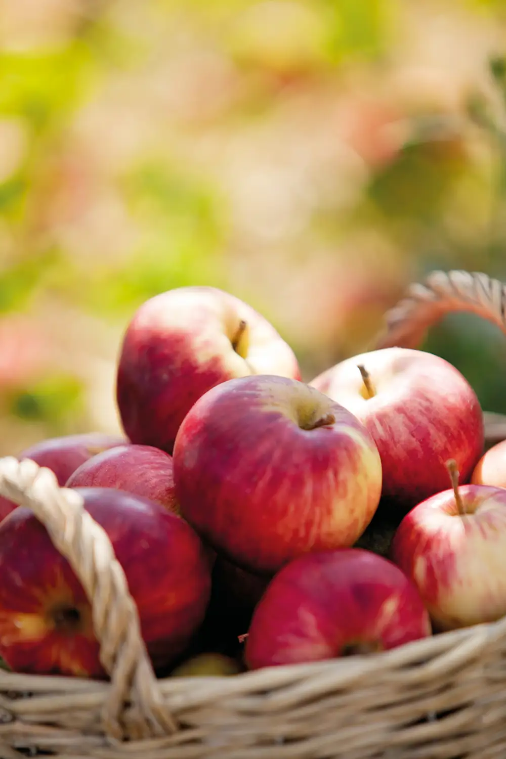 Detalle de cesta con manzanas