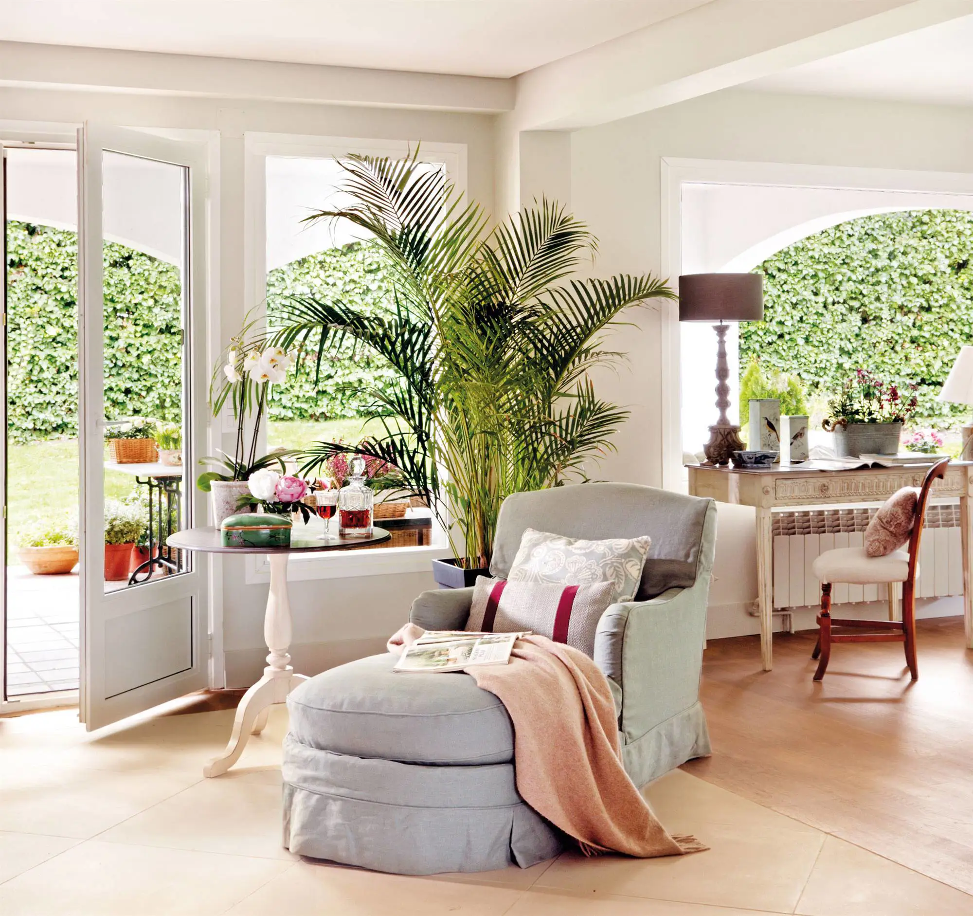 kentia planta salón_00355111