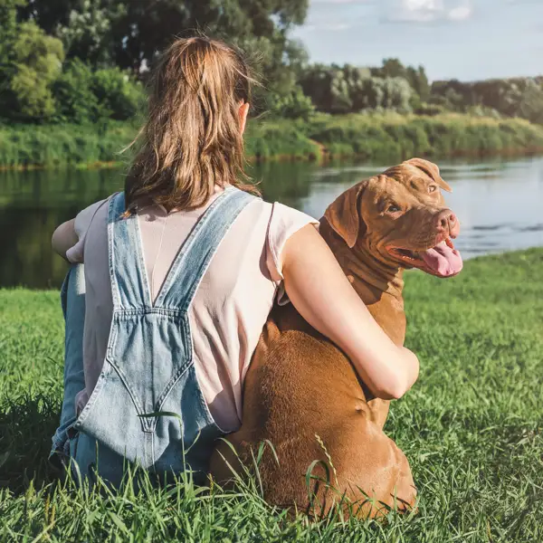 ¿Por qué los perros huelen tus partes íntimas? ¡La respuesta te sorprenderá!