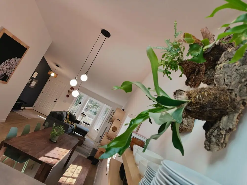 Cocina abierta al salón