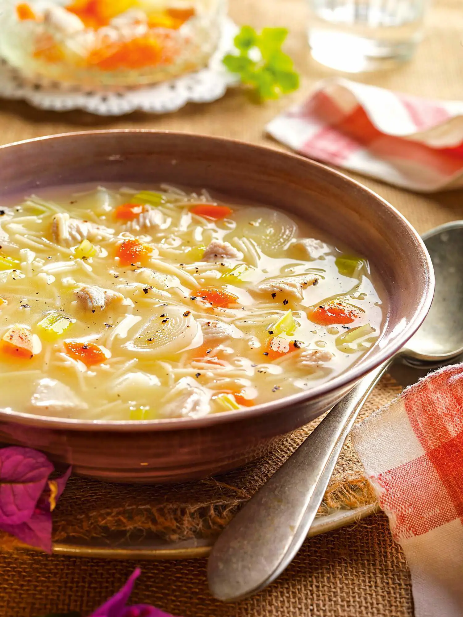 caldo de pollo con verduras 