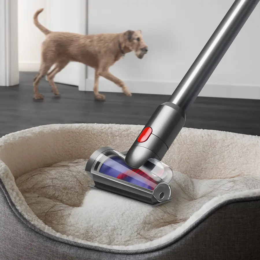 Dyson Perro