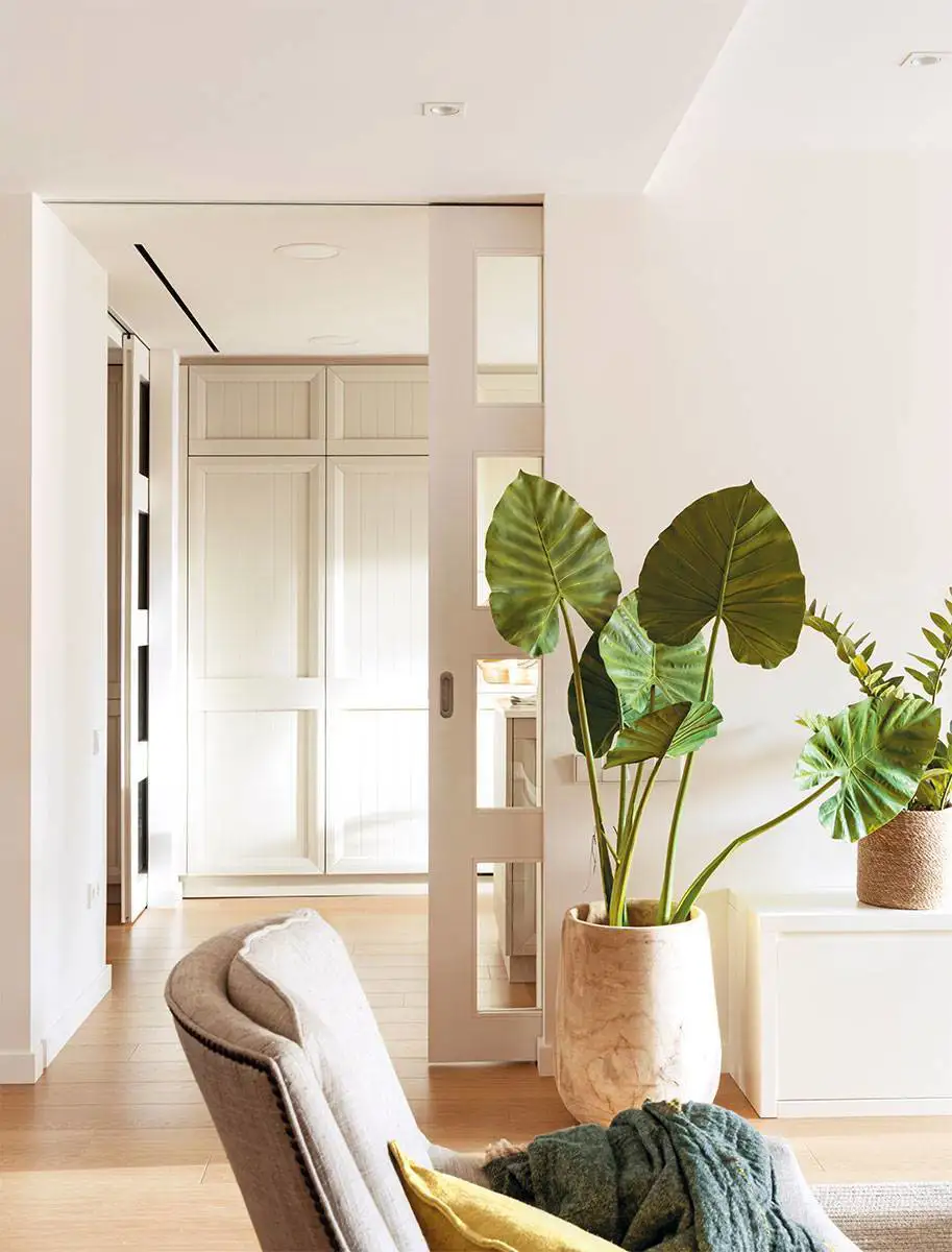 Rincón con planta monstera
