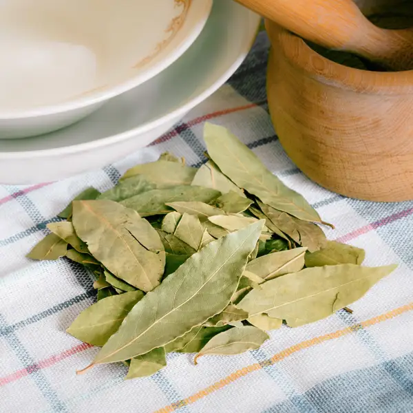 Cómo usar hojas de laurel para eliminar malos olores en la cocina