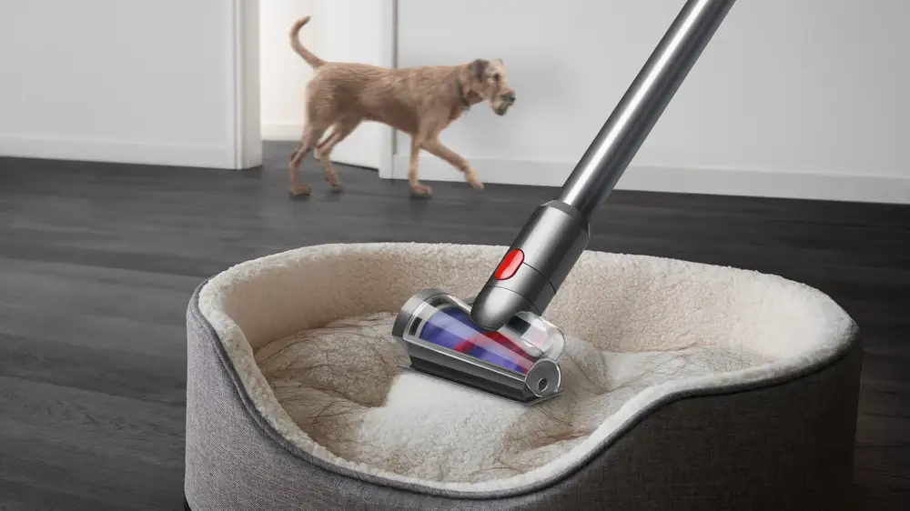 Dyson Perro