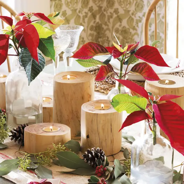 30 ideas originales para decorar con Poinsettias esta Navidad: centros de mesa, en paredes y nuevos colores