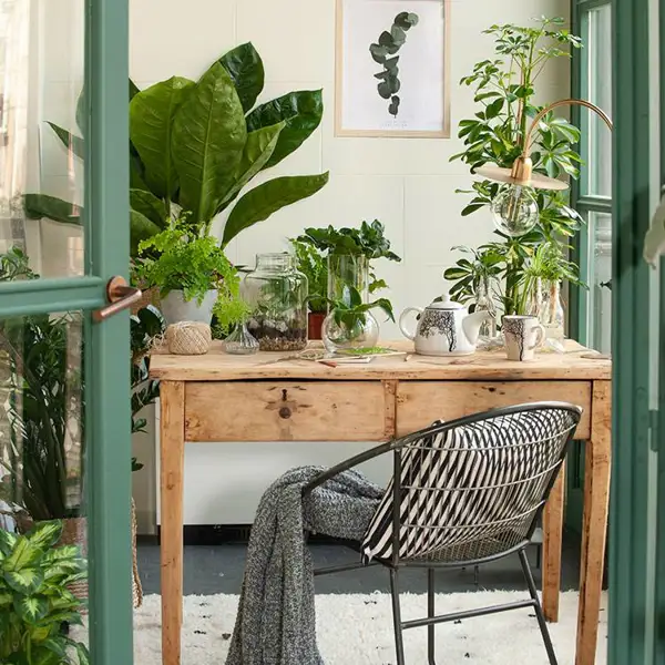 El secreto para cuidar las plantas del frío este invierno lo tiene IKEA: funcional, práctico y decorativo (por menos de 25 euros)