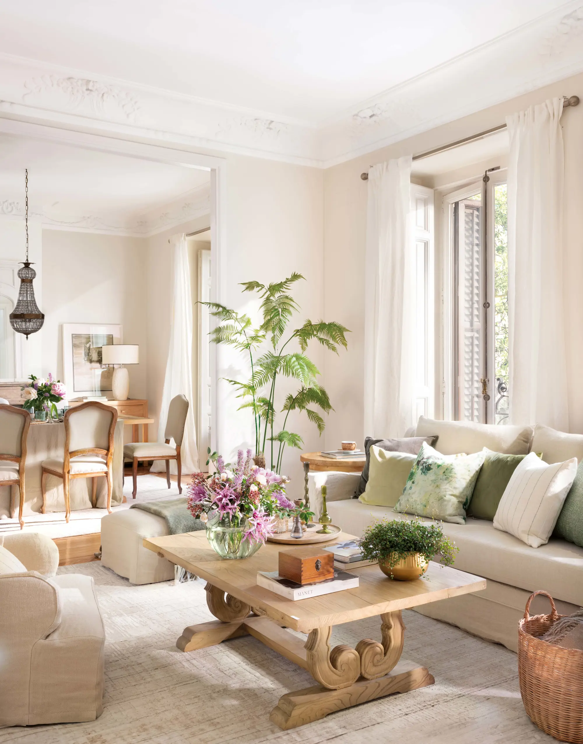 Salón con mesa de centro de madera y planta en rincón